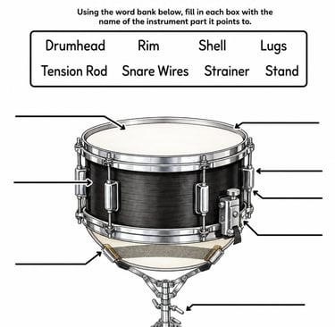 Parts of the Snare Drum