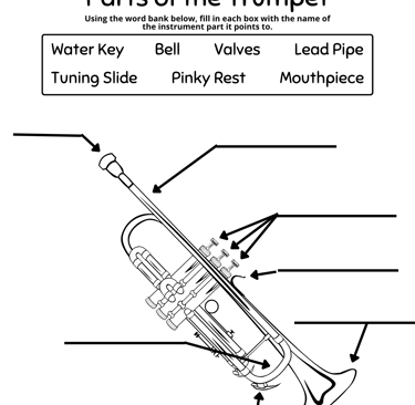 Parts of the Trumpet