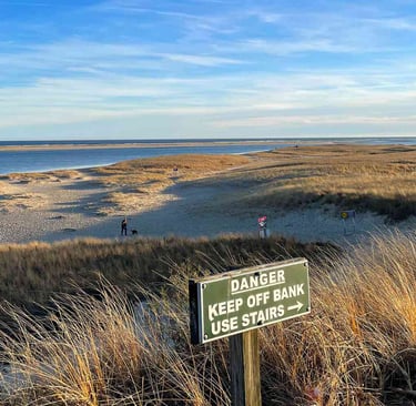 Cape Cod. Protecting the dunes