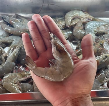 ปิติหมูกระทะ