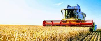 Agriculture céréalière moderne