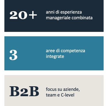 Infografica con 20 anni di esperienza manageriale, 3 aree di competenza e focus su consulenza B2B.