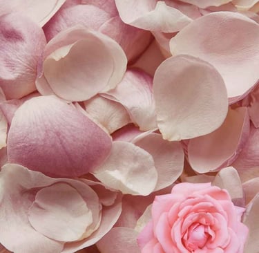 Rose Petals Traditional Ayurvedic Remedies