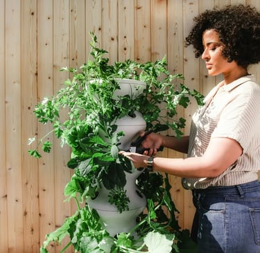 Growing vegetables on a balcony using a vertical planter in a compact apartment garden