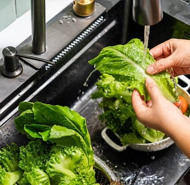 Lettuce: Fresh Salads from Your Backyard