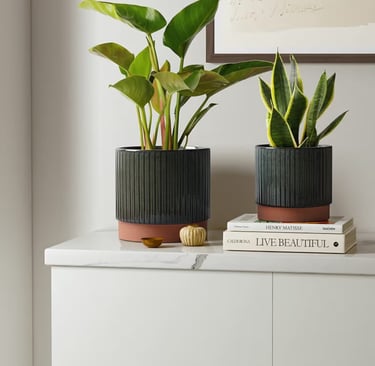Black ceramic indoor planters with wood base and drainage holes for modern houseplant styling