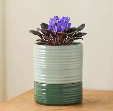 Green 6 inch ceramic self watering plant pot with wick rope system and drainage holes