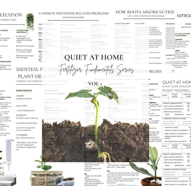 Printable houseplant fertilizer guide from Quiet at Home with dilution chart and feeding schedule to