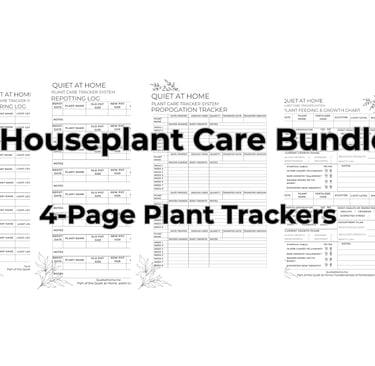 Quiet at Home Houseplant Care Bundle repotting, watering and more.