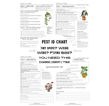 Houseplant pest identification chart printable from Quiet at Home that walks you through diagnosing