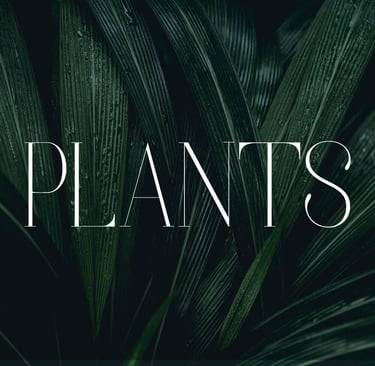 Indoor plant care hub with soil setup fertilizer and plant guides
