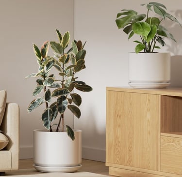 LE TAUCI white ceramic plant pots set of 2 in 10 and 12 inch sizes with drainage holes