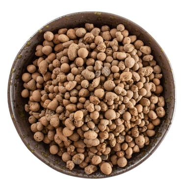 LECA semi hydro setup for indoor plants with clay pebbles in clear pot and water reservoir