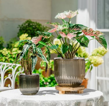 2 pack self watering planters in light grey with built in drainage system for indoor plants