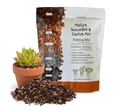 Molly’s succulent and cactus soil mix with fast-draining gritty texture for indoor succulents
