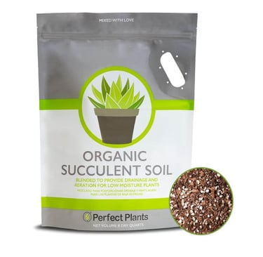 organic succulent soil mix by Perfect Plants with perlite and bark for drainage and healthy roots