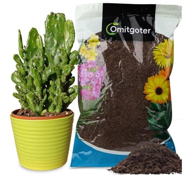 Peat moss used in indoor plant soil mix for moisture retention