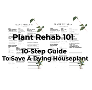 Plant Rehab 101 printable guide from Quiet at Home showing how to diagnose and revive houseplants