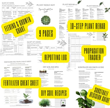 Beginner plant care bundle printable from Quiet at Home with watering basics, light guide, and simpl