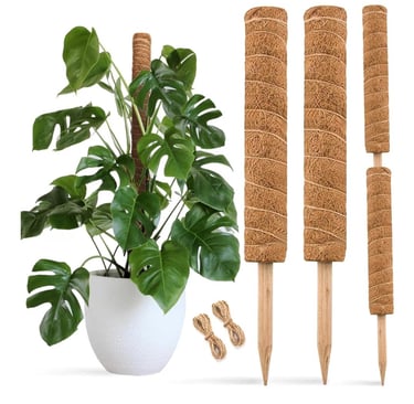 Stackable coco coir moss pole designed for supporting climbing houseplants as they grow taller.