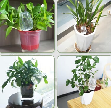 Terracotta irrigation spikes with water reservoir inserted into indoor and outdoor potted plants