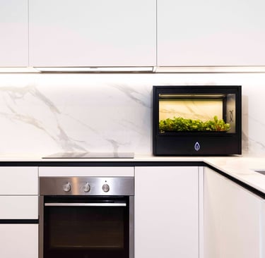 Sistema CultEvo installato in cucina domestica per coltivazione indoor