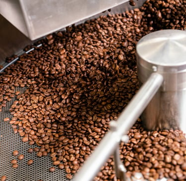 Chicchi di caffè in tostatrice durante il processo di lavorazione