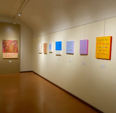 Allestimento della mostra di Cristian Bragaglio al Museo Lechi con opere esposte