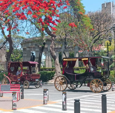 Carrozze turistiche nel centro storico di Guadalajara