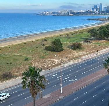 Panorama del lungomare e della costa di Puerto Vallarta