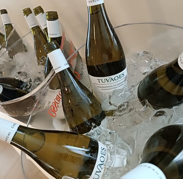 Bottiglie di Vermentino Vinicola Cherchi immerse nel ghiaccio durante la degustazione