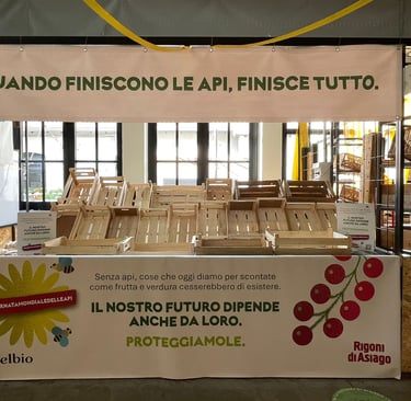 Banco vuoto dedicato alla Giornata Mondiale delle Api al Mercato Coperto di Porta Romana