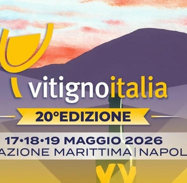 Locandina ufficiale della ventesima edizione di Vitigno Italia a Napoli