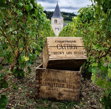 Vigneto della Maison Cattier a Chigny-les-Roses, nel cuore della Champagne