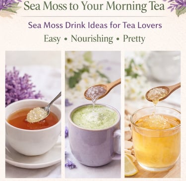 Sea Moss Drink Recipes: 3 Easy Ways to Add Sea Moss to Your Morning Tea
