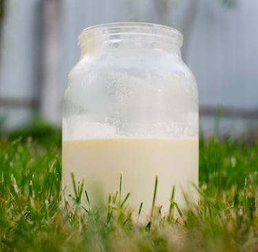 raw milk nutrition facts