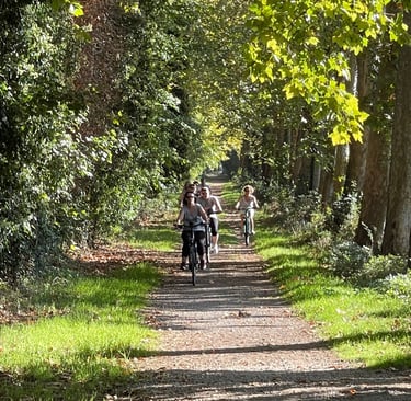 A group of cyclists riding bicycles down a sun-dappled, tree-lined nature trail in autumn.