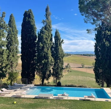 domaine Cesarini - swimming pool villa violetta