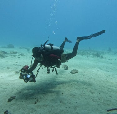 An underwater hello from TTT