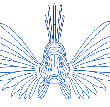 Le Poisson-Lion des Caraïbes grandit plus vite et plus gros que celui de l'Indo-Pacifique