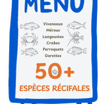 Le Poisson-Lion se nourrit de plus de 50 espèces récifales