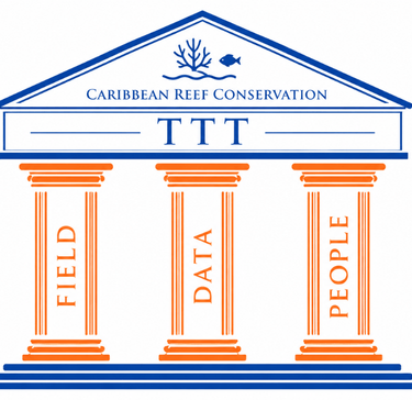 Field, data and people are the foundation are the foundation of TTT approach