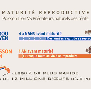 Un poisson aura produit plusieurs millions d'oeufs avant la maturité de prédateurs indigènes