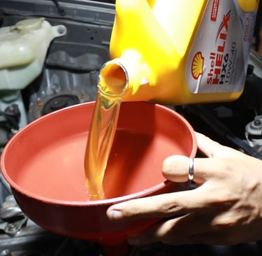 general service hektor