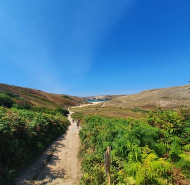 plage de D'Herlin Belle-île en Mer