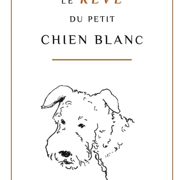 Couverture du livre le rêve du petit chien blanc