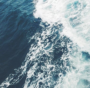 More questions? Drop us a line, or call, See our Contact Us page