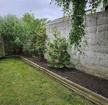 Garden bed with fresh dark soil next to a lawn and grey concrete wall.