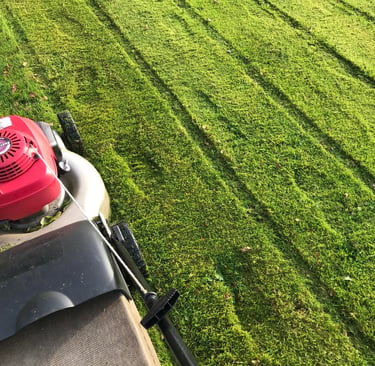Lawn mower cutting a lush green backyard with visible grass stripes.