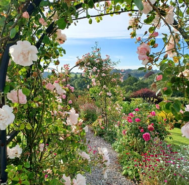 A scenic gravel garden path under a climbing rose arch with blooming pink and white roses.